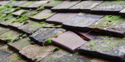 Kirkdale roof repair costs